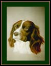 Richard McGowan Gallery Link